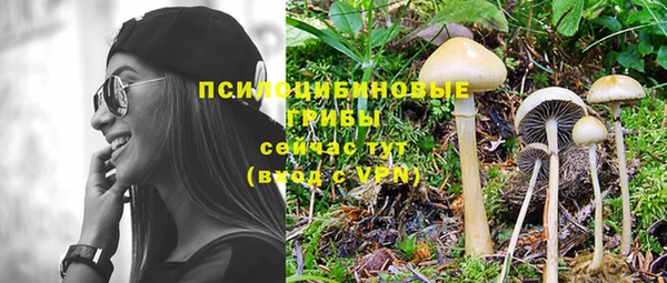 хмурый Заводоуковск